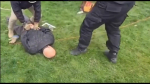 Два террориста получили 39 лет тюрьмы за подготовку взрывов в Тульской области