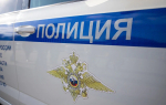 В поселковой школе под Киреевском избили 11-летнего мальчика, он находится в больнице