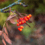 Ночью в Туле ожидается переменная облачность - ТК Первый Тульский