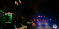 Двое мужчин за сутки погибли на пожарах в Тульской области - Центр 71