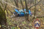 Под Тулой 23-летняя девушка на «Пежо» съехала в кювет и врезалась в дерево