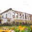 AppaФото_Z62_0061.jpg - Myslo.Ru