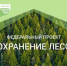 С 2025 года обновленный федеральный проект “Сохранение лесов” вошел в национальный проект “Экологическое благополучие”. - Управление культуры и туризма