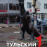 Тулякам рассказали, почему тираннозавр стал символом экзотариума - ТК Первый Тульский