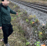 Туляк украл с проходящего поезда 360 кг чугуна - Myslo.Ru