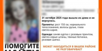 Немая девочка из Узловского района найдена живой: СК организовал проверку - ИА Тульская пресса.Ru