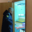 Эвакуированных с улицы Кутузова туляков разместили в ПВР - Молодой коммунар