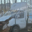 На Веневском шоссе «Газель» влетела в столб - Myslo.Ru