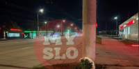 Туляки несут цветы на место смертельного ДТП на Пролетарском мосту - Myslo.Ru