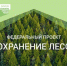 Туляков приглашают присоединиться к Всероссийской акции «Сохраним лес!» - Myslo.Ru