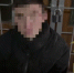 В щекинском парке избили и обокрали 20-летнюю женщину - ИА Тульская пресса.Ru