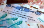 Туляки могут оплатить услуги репетитора средствами материнского капитала