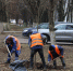 На проспекте Ленина в Туле начались осенние работы по озеленению в рамках благоустройства веломаршрута «Лев Толстой». - ГТРК