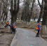 В Туле по пути веломаршрута «Лев Толстой» высадили липы - ИА Тульская служба новостей