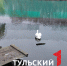 Тулякам рассказали, в чем отличие зимовки белых и черных лебедей - ТК Первый Тульский