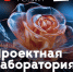 Тулякам предложили стать участниками выездной медиашколы - Молодой коммунар