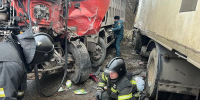 В Туле возбуждено уголовное дело о покушении на убийство после избиения битой - Комсомольская Правда