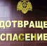 В Тульской области ожидаются снег, ветер до 16 м/с и гололедица - ИА Тульская пресса.Ru