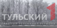 В Московской области выпал первый снег - ТК Первый Тульский