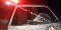 В Веневском районе сбили насмерть пешехода: водитель оказался пьян и без прав - ИА Тульская пресса.Ru
