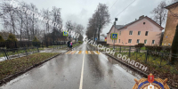 В Щекино на улице Льва Толстого сбили женщину - Молодой коммунар