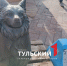 На улице Металлистов в Туле устанавливают скульптуру собаки Манюни - ТК Первый Тульский