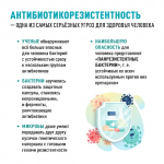 Неделя борьбы с антимикробной резистентностью (в честь Всемирной недели повышения осведомленности о проблеме устойчивости к противомикробным препаратам) с 17 по 23 ноября 2025 года