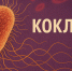 Стодневный кашель: педиатр Дарья Моисеева рассказала, чем опасен коклюш - ИА Тульская служба новостей