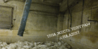 Электричество подвело: сотни птиц погибли на ферме под Тулой - Молодой коммунар