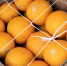 Но аккуратнее с аскорбинкой: врач назвала продукты с высоким содержанием витамина С - ИА Тульская служба новостей