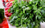 Нутрициолог рассказала, какие продукты помогут снизить холестерин