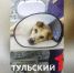 В Пролетарском округе Тулы завёлся догхантер с ружьем - ТК Первый Тульский