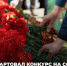 В Туле проводится конкурс на создание монумента защитникам Отечества - Министерство культуры и туризма