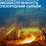 ПМХ полностью перешел на использование собственного железорудного концентрата при выплавке чугуна - Корпорация развития Тульской области