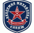 Тульский АКМ-следж стартовал с победы в чемпионате России - Молодой коммунар
