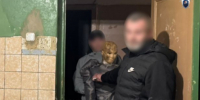 В Богородицке расследуется уголовное дело о причинении тяжкого вреда здоровью, повлекшего смерть потерпевшего - Следственный комитет