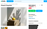 В Туле за 900 тысяч рублей продается лимон, заряженный на богатство