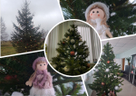 MyCollages (15).jpg