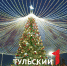 Елка в Туле вошла в книгу рекордов России - ТК Первый Тульский