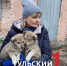 Волонтеры из Тулы спасли пять щенков из болота - ТК Первый Тульский