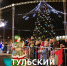 В районах Тульской области успели установить всего 20% новогодних елей - ТК Первый Тульский