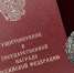 В День Конституции Российской Федерации, 12 декабря, в Тульской области впервые вручили государственную награду высшего уровня для работников избиркомов. - ГТРК
