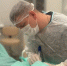 Вернуть возможность говорить: в Тульском онкоцентре при раке гортани устанавливают голосовые протезы - Myslo.Ru
