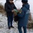 Осторожно! Выходить на лед запрещено! - МЧС