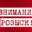 Госавтоинспекция ищет свидетелей ДТП в Алексине на Городской дороге, где 14 декабря сбили двух пешеходов - ИА Тульская служба новостей