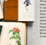 Любоваться и изучать - Библиотечно-информационный комплекс