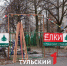 Что привезут на елочные базары в Туле и сколько будут стоить ели - ТК Первый Тульский