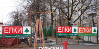 Что привезут на елочные базары в Туле и сколько будут стоить ели - ТК Первый Тульский