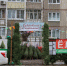 В Туле 20 декабря откроются 34 точки по продаже новогодних ёлок - ИА Тульская служба новостей