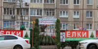 В Туле 20 декабря откроются 34 точки по продаже новогодних ёлок - ИА Тульская служба новостей